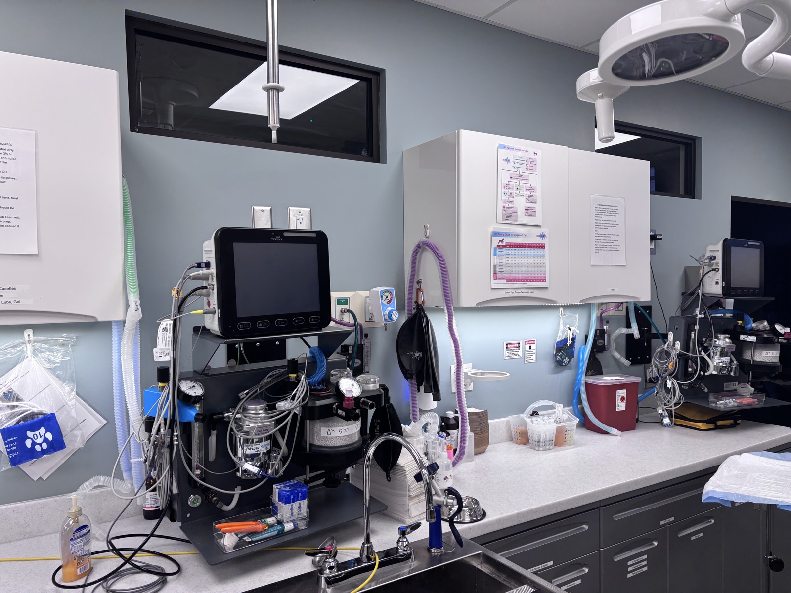 Wet Anesthesia Circuits Are an Infection Risk: How to Clean and Dry Breathing Systems Properly